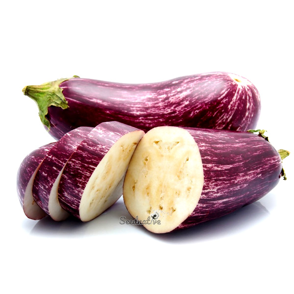 Comprar Semillas de Berenjena Listada de Gandía (Solanum Melongena)