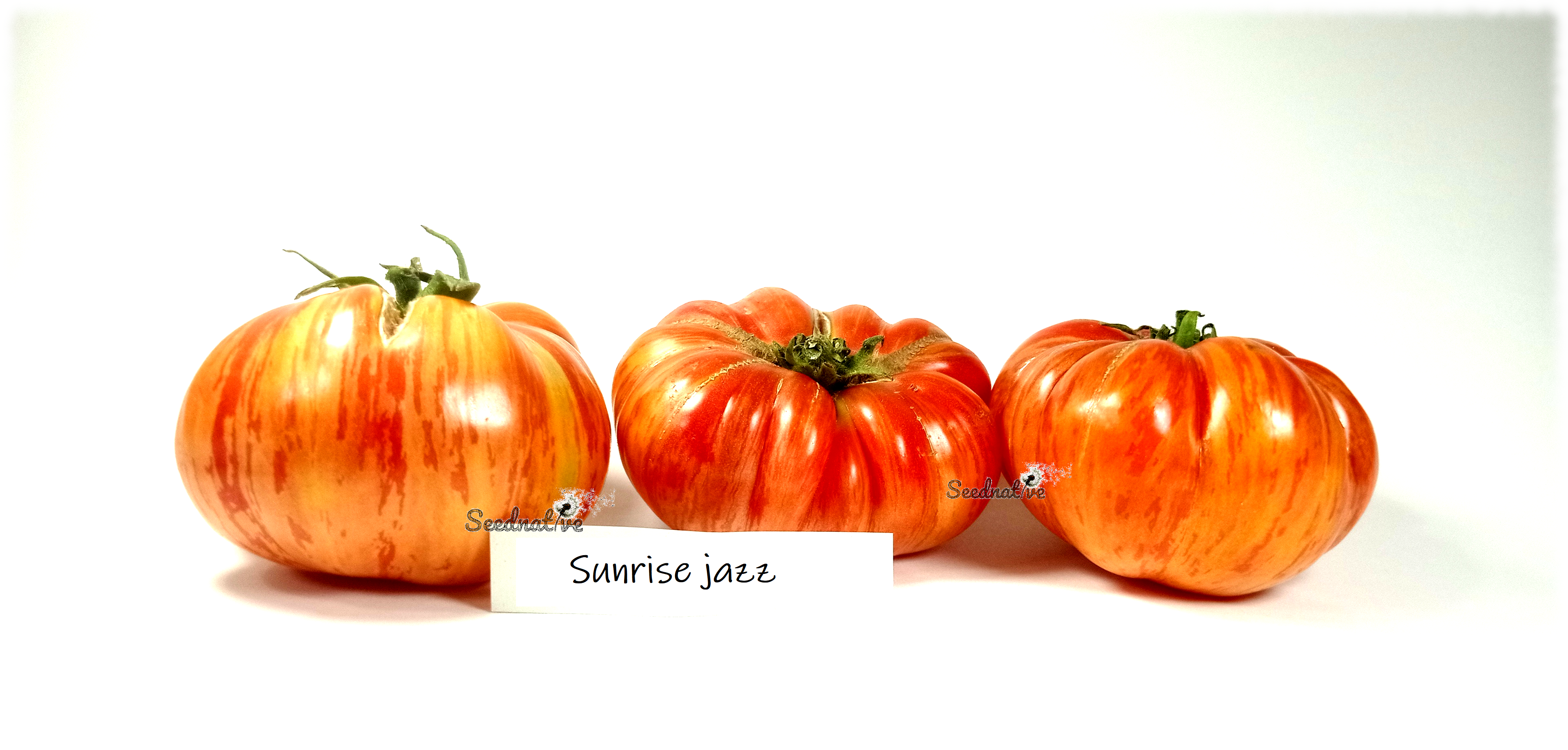 Tomate Sunrise Jazz - 15 semillas