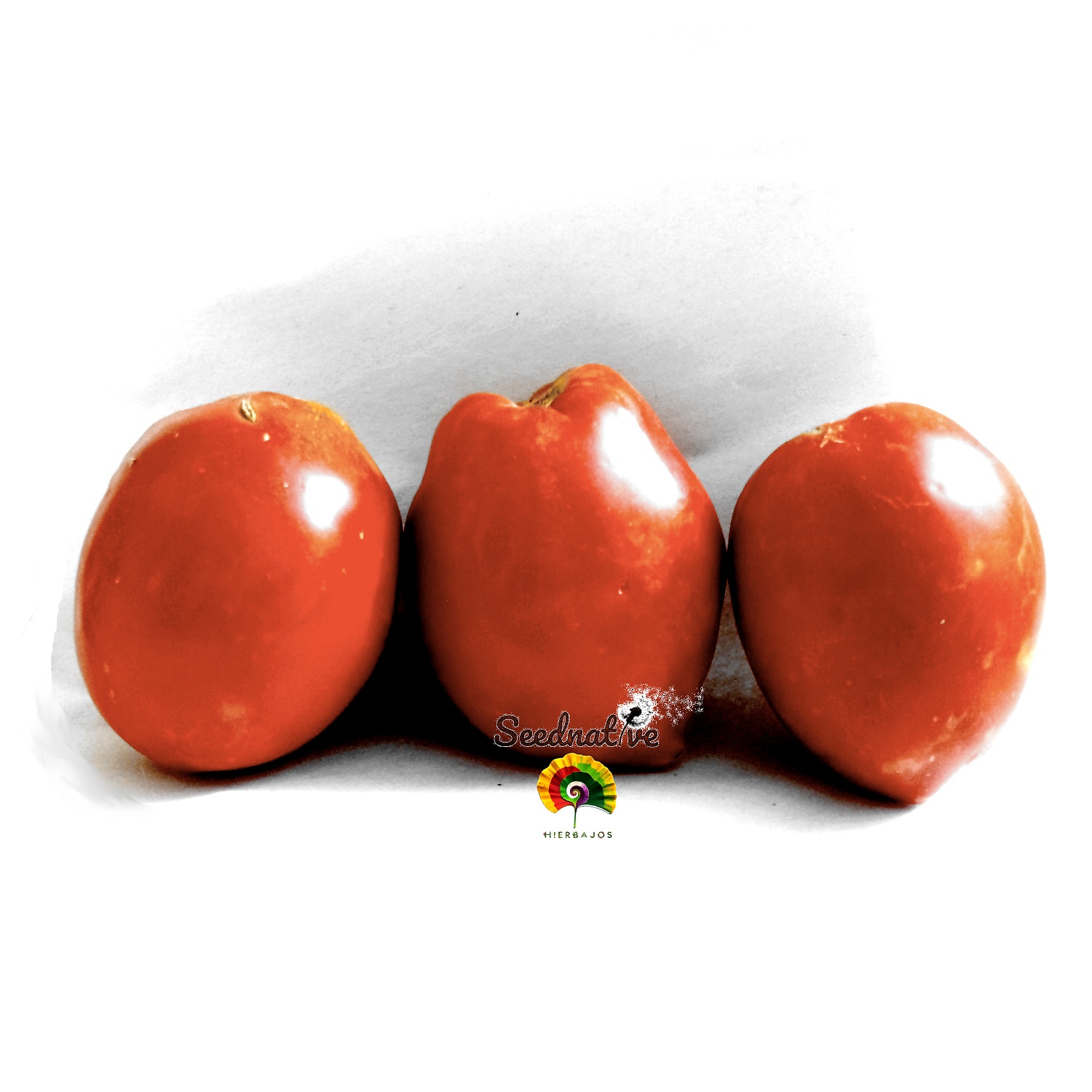 Tomate Fresa - 25 semillas 