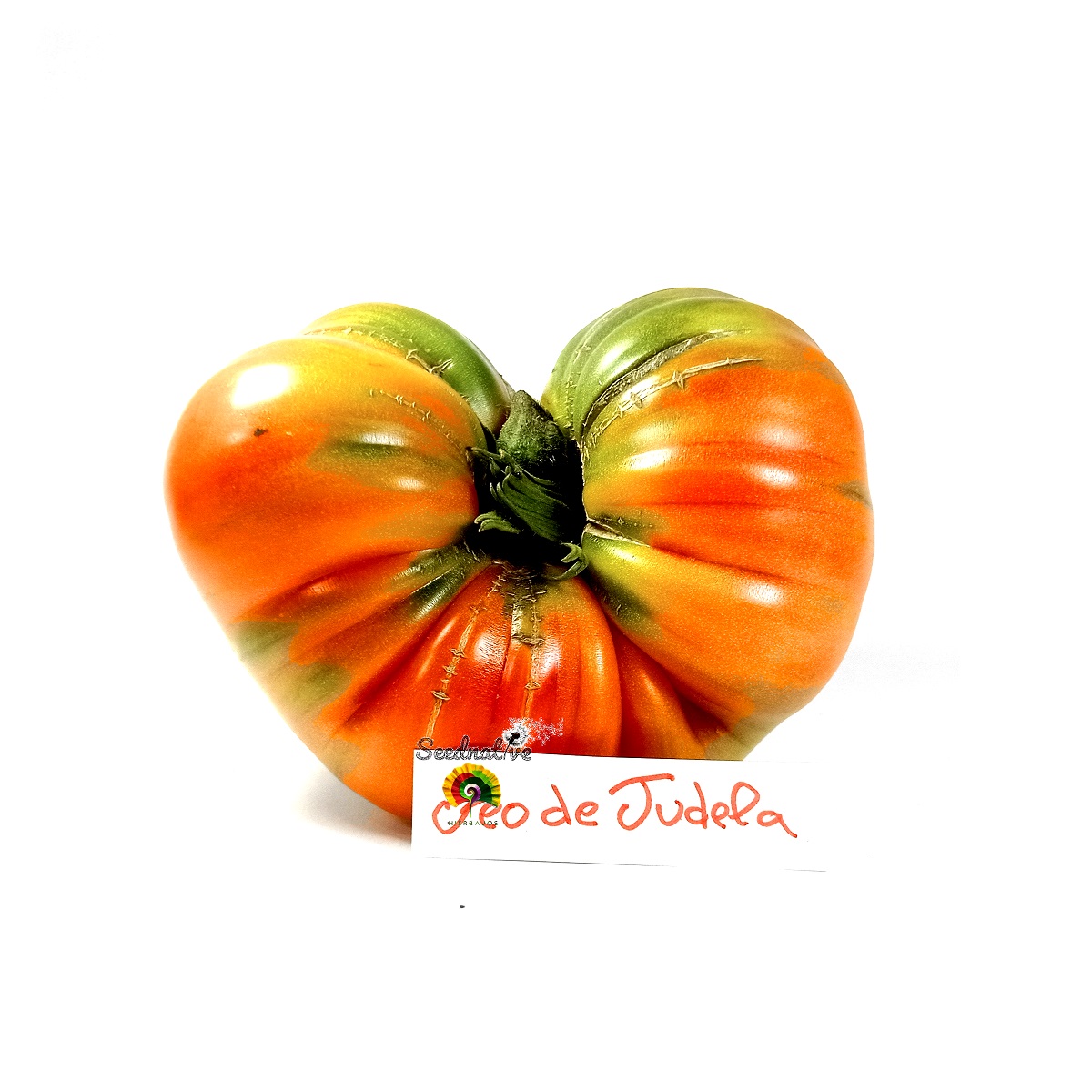 Tomate Feo de Tudela - 25 semillas 