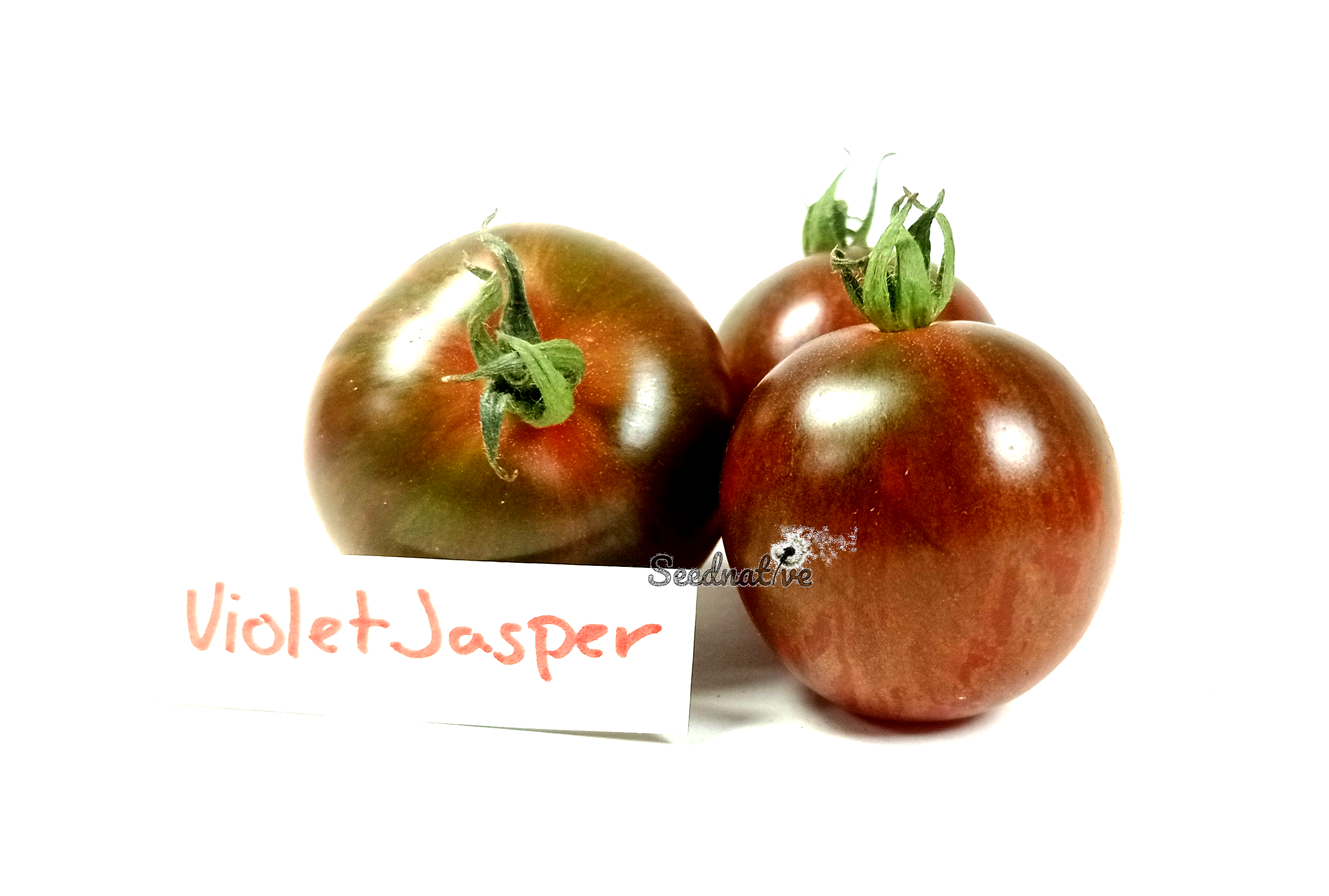 Tomate Violet Jasper - 25 semillas 