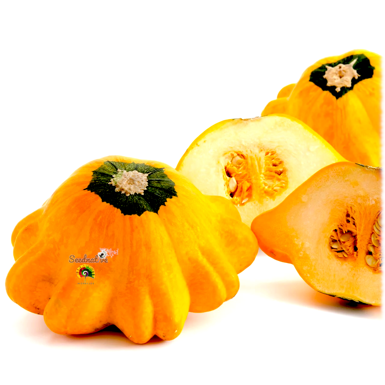 Calabaza Patisson orange - 25 semillas 