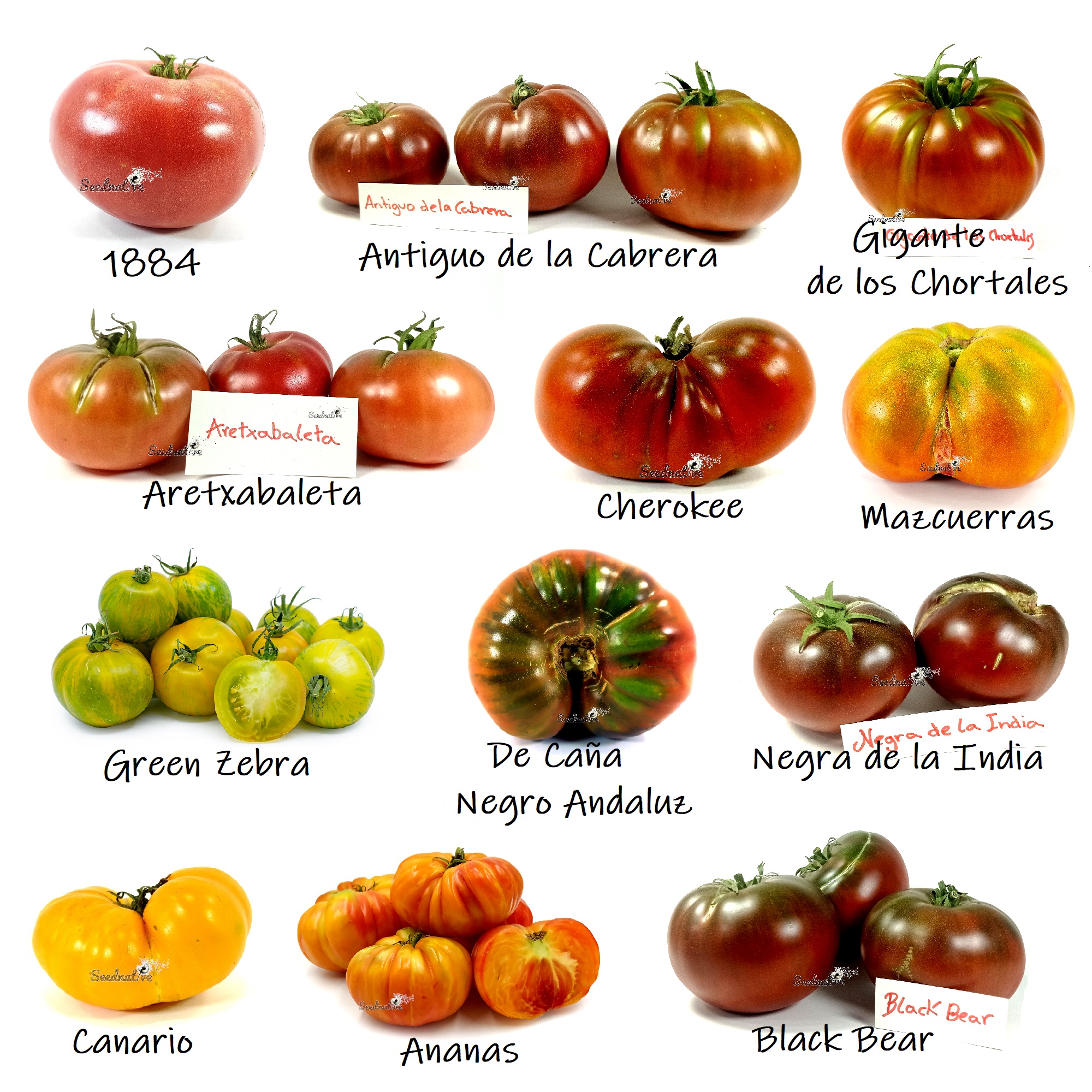 El Sabor del Tomate