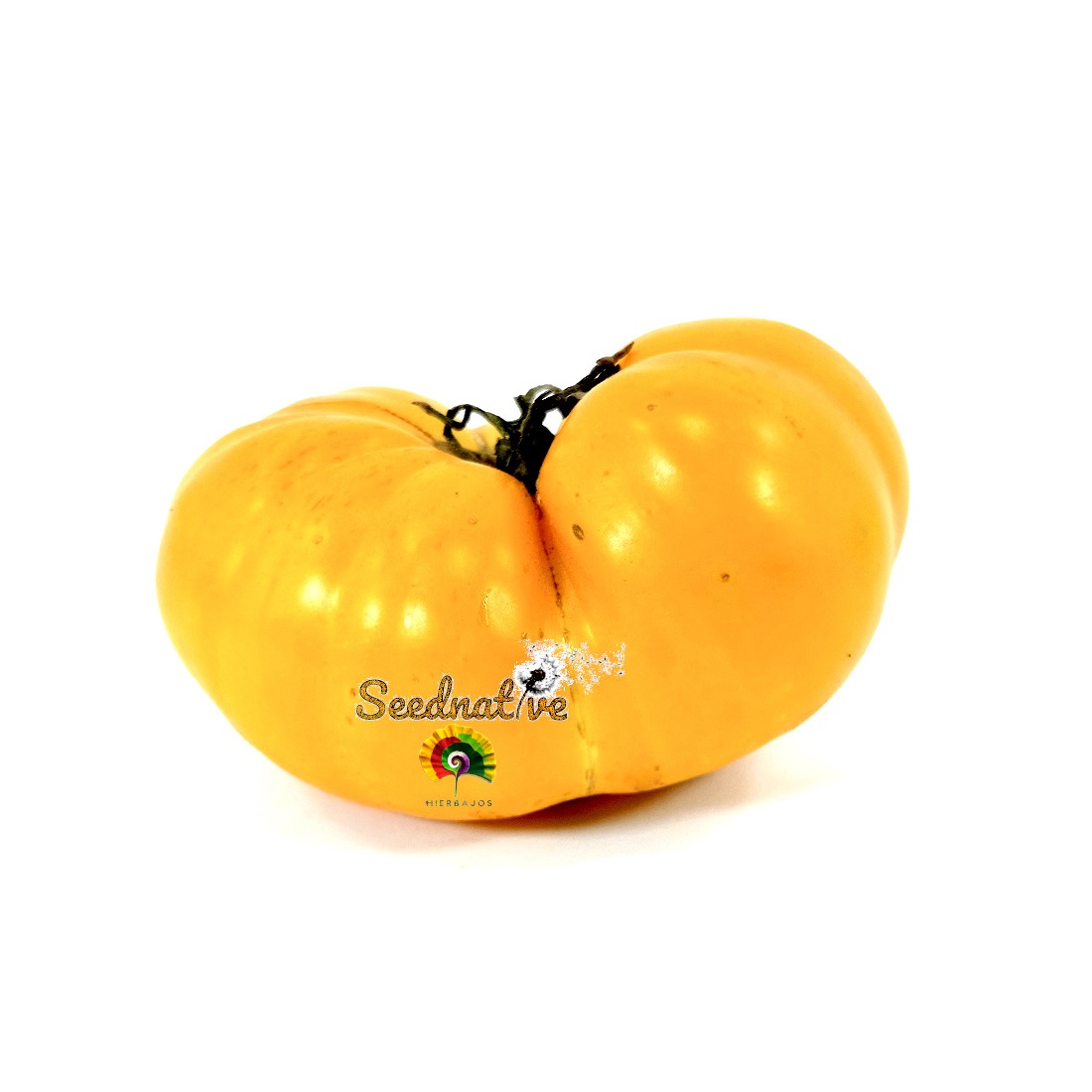 Tomate Amarillo Canario - 30 semillas 