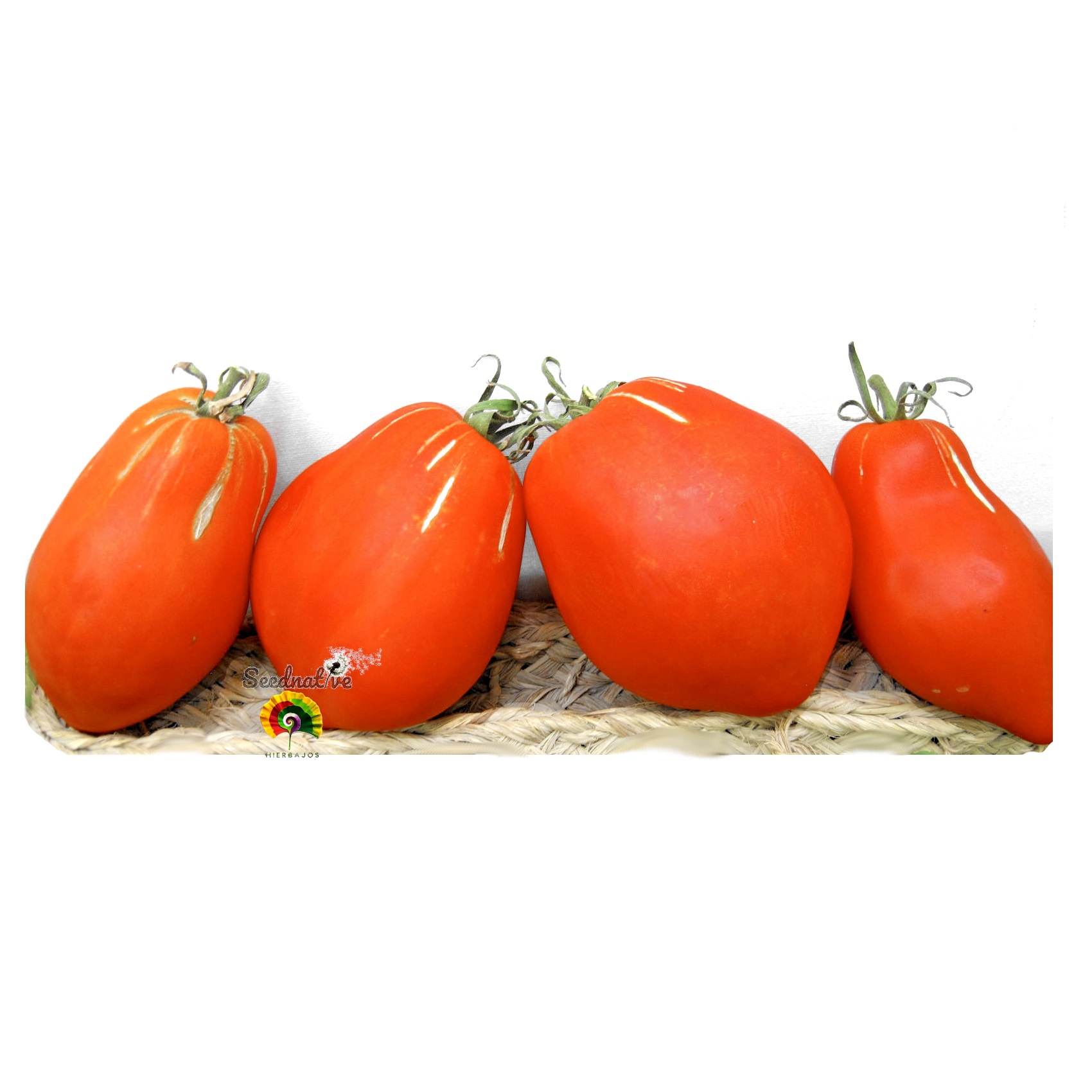 Tomate Fresa Gigante - 25 semillas 