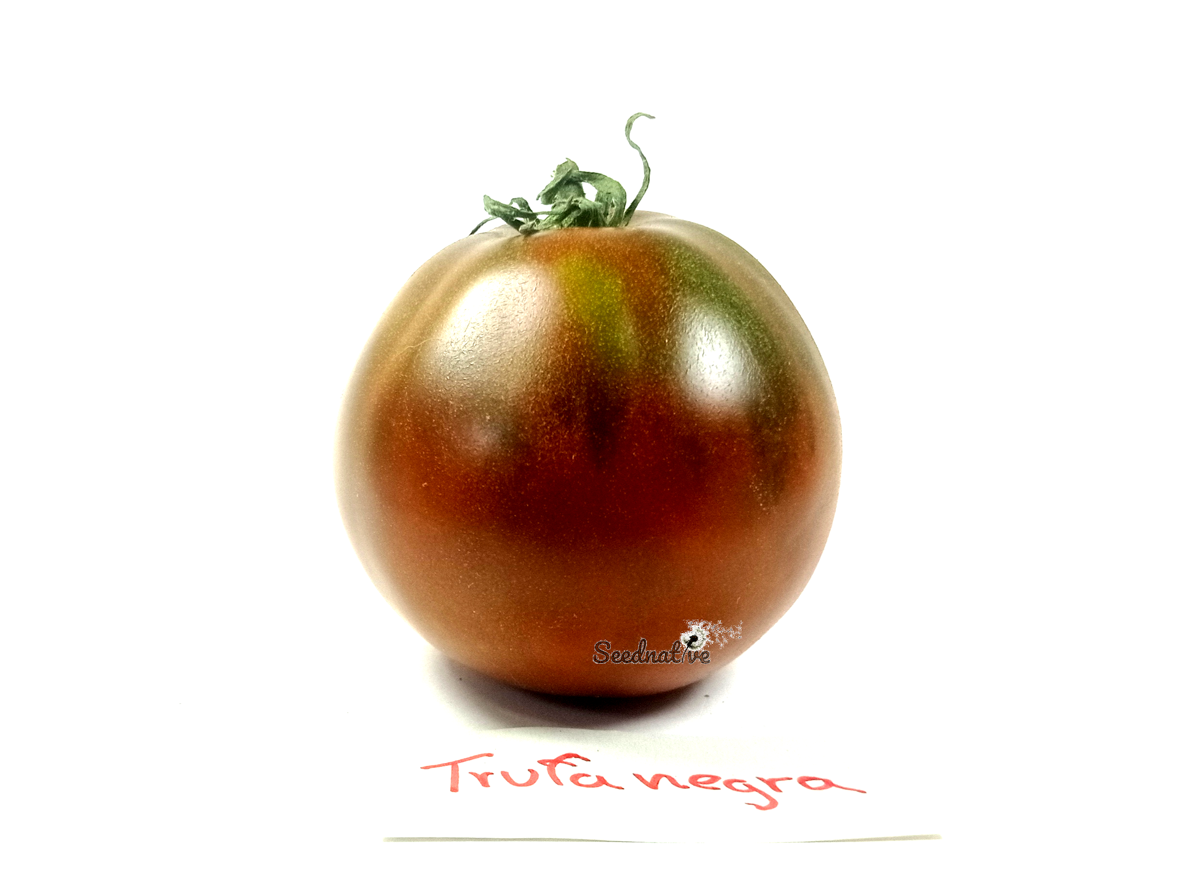 Tomate Trufa negra japonesa - 15 semillas