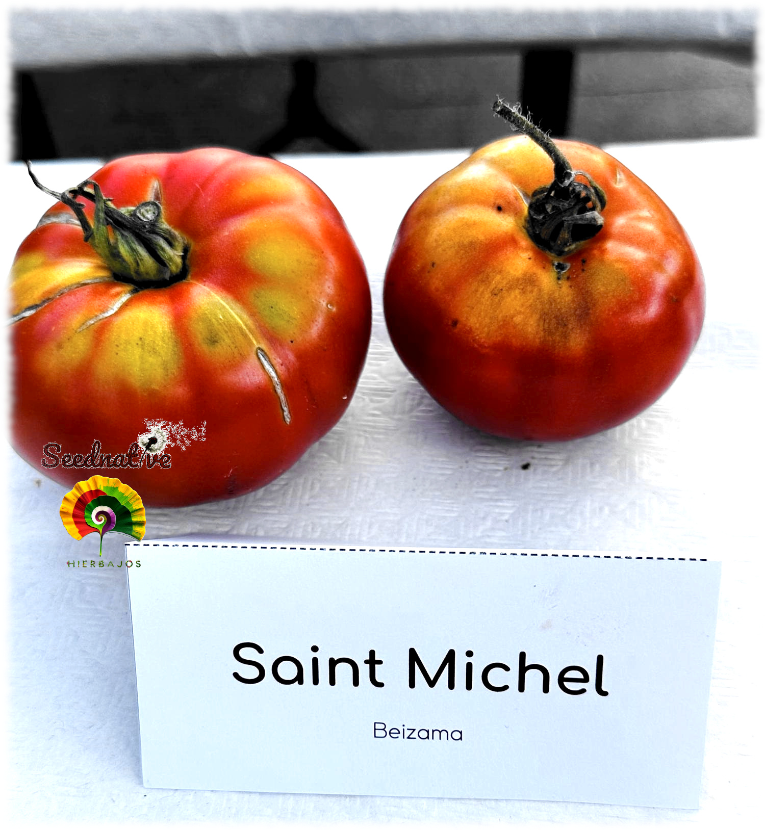 Tomate Saint Michel - 25 semillas