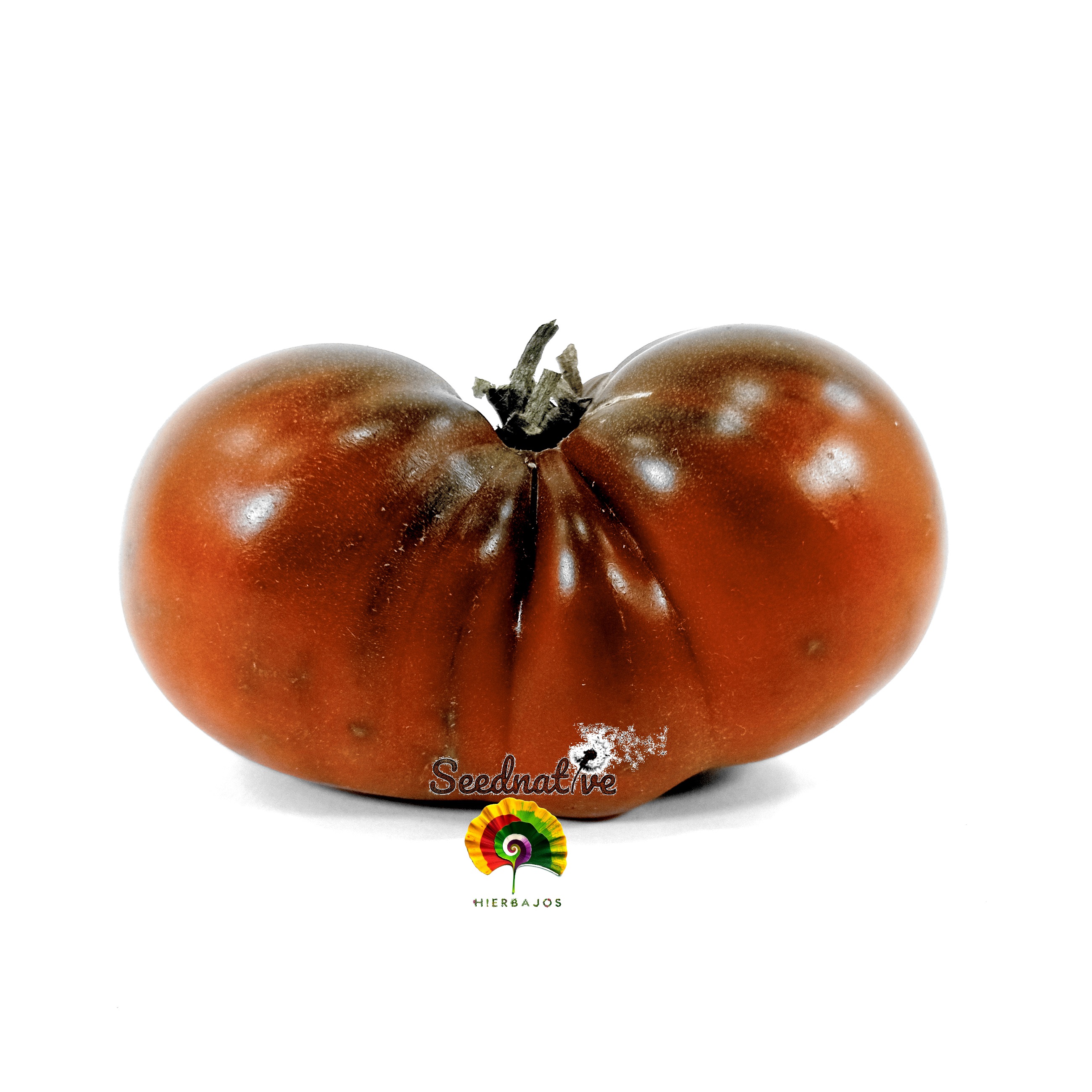 Tomate Cherokee Purple - 25 semillas 