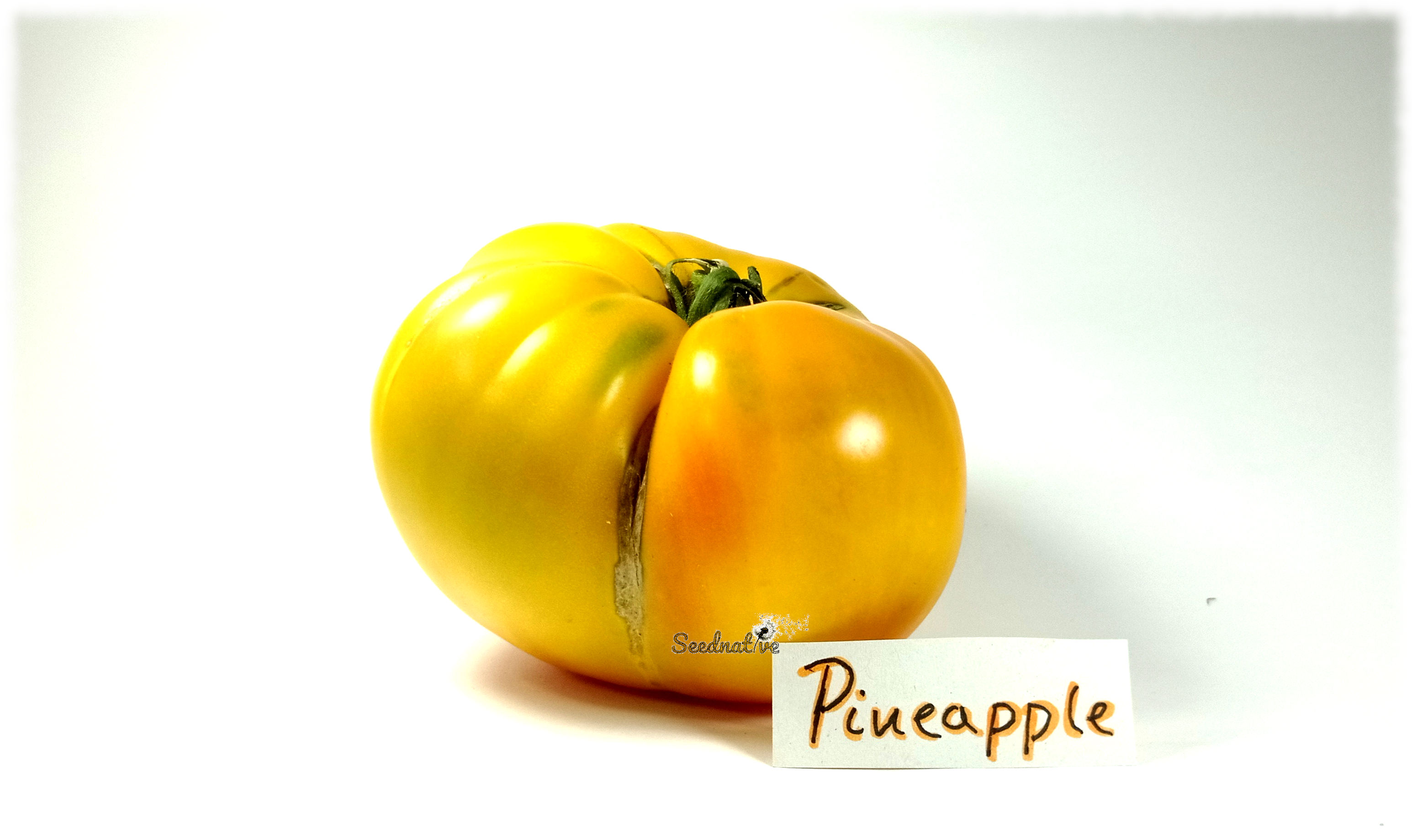 Tomate Pineapple - 20 semillas - var. tomate antiguo