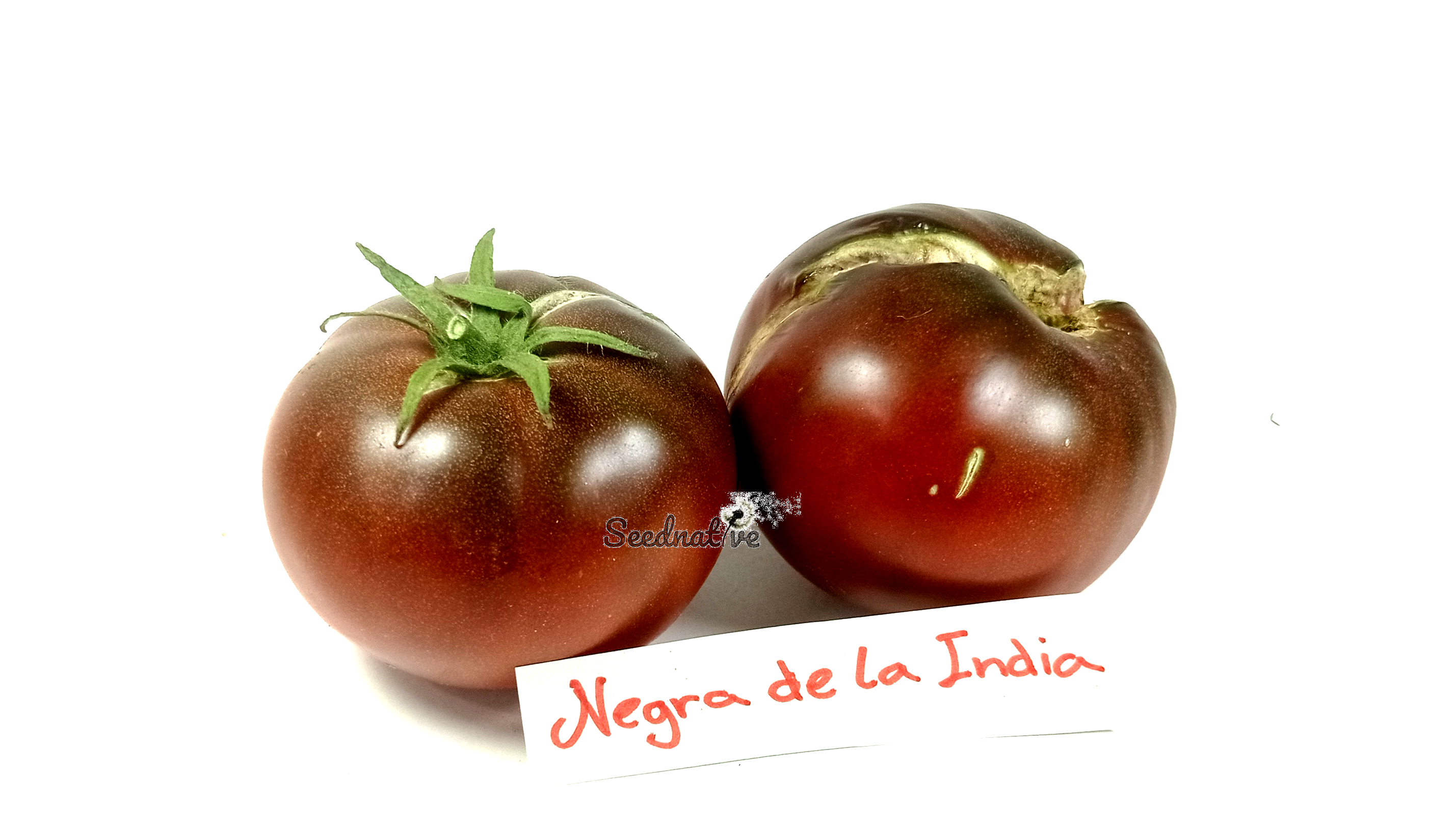 Tomate Negra de la India - 25 semillas