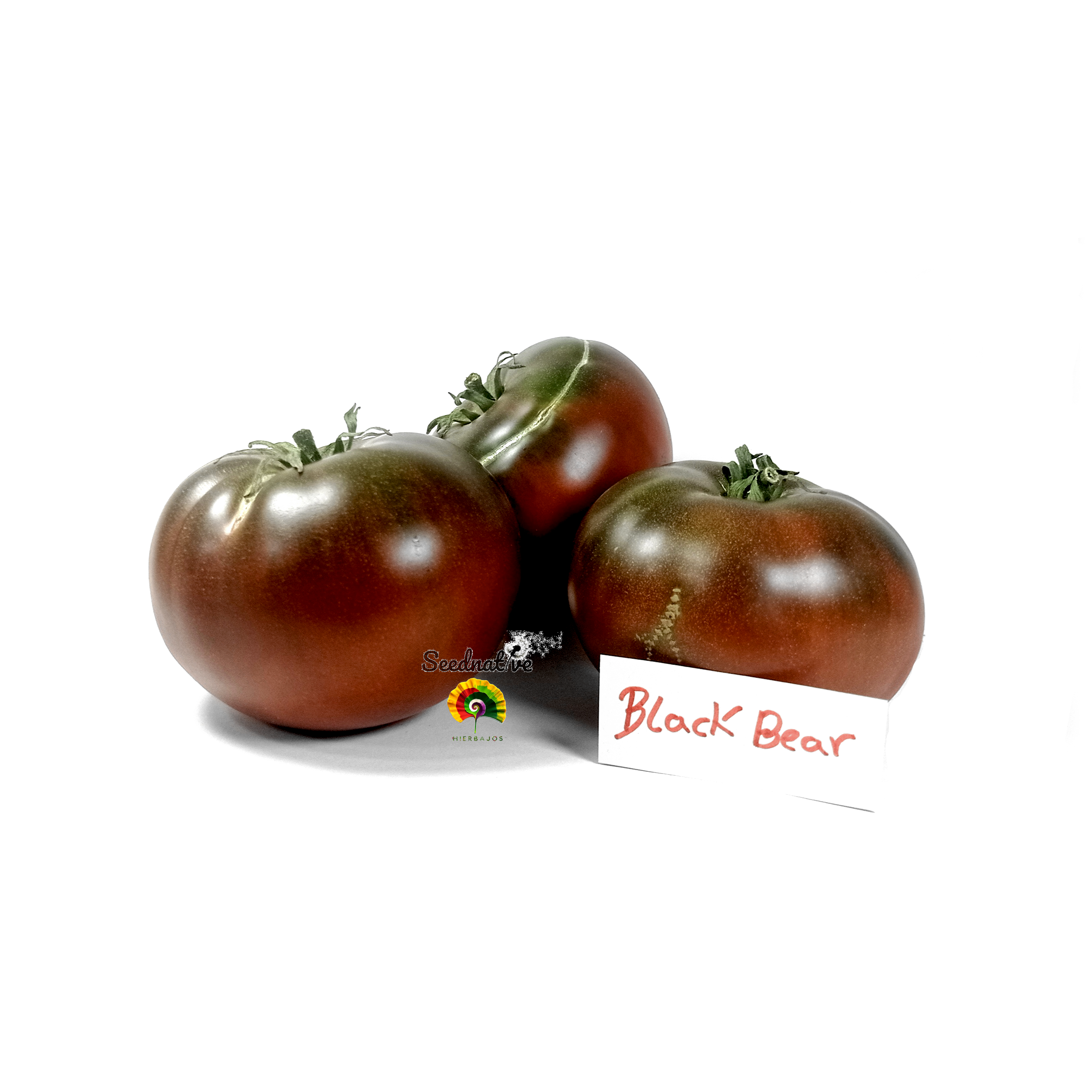 Tomate Black Bear - 30 semillas 